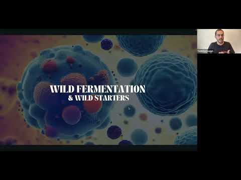 Wild Fermentation &amp; Wild Yeast starters. yeasts and bacterias in wild cider, fruit wine, sour beer