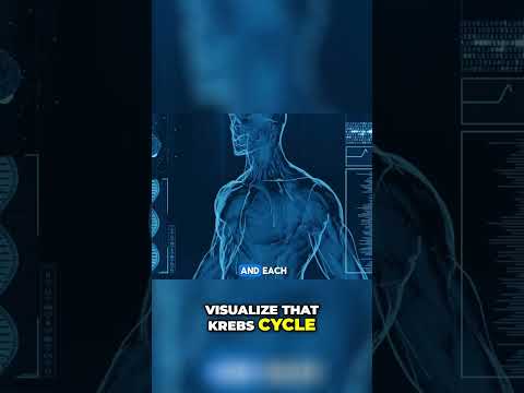 Unlock Your Body&#039;s Energy Secrets with Metabolomics